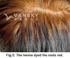 240429154322_Hair-Dying with henna-s.jpg